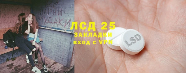 мяу мяу мука Арсеньев