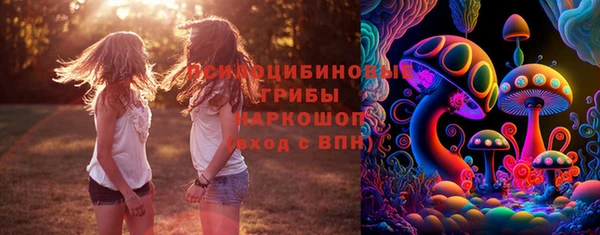 альфа пвп Армянск