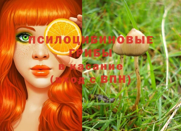 альфа пвп Армянск