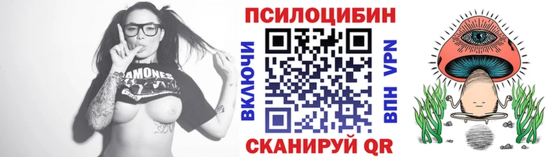 Псилоцибиновые грибы прущие грибы  Оса 